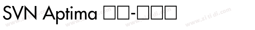 SVN Aptima 常规字体转换
